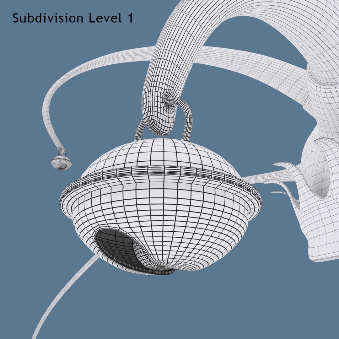 3d Model Fool Cap