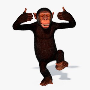 3D Chimpanzee model