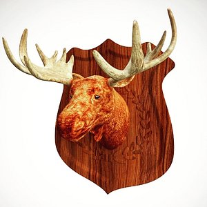 Moose Head Low Poly Game Ready