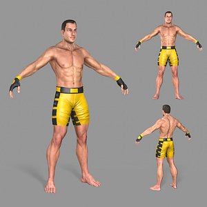 boxer 3D