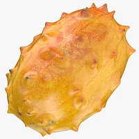 Horned Melon 01