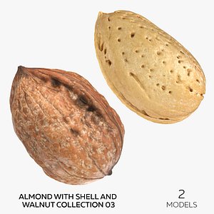 Almond With Shell and Walnut Collection 03 - 2 models 3D model