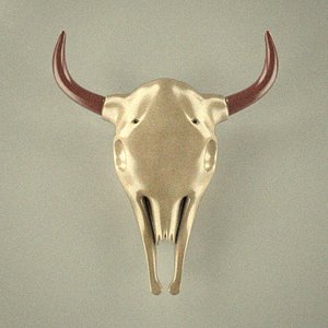 cow skull