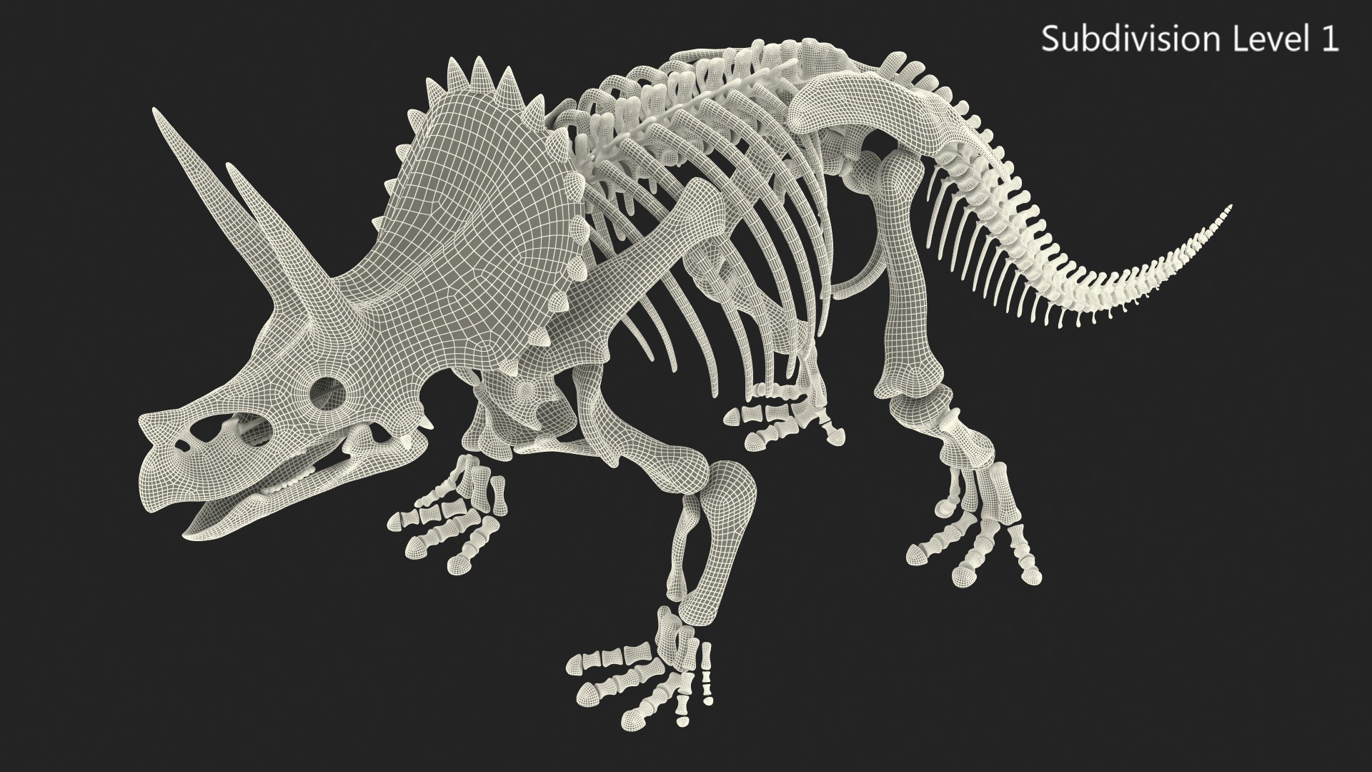 3D triceratops skeleton fossil - TurboSquid 1503424