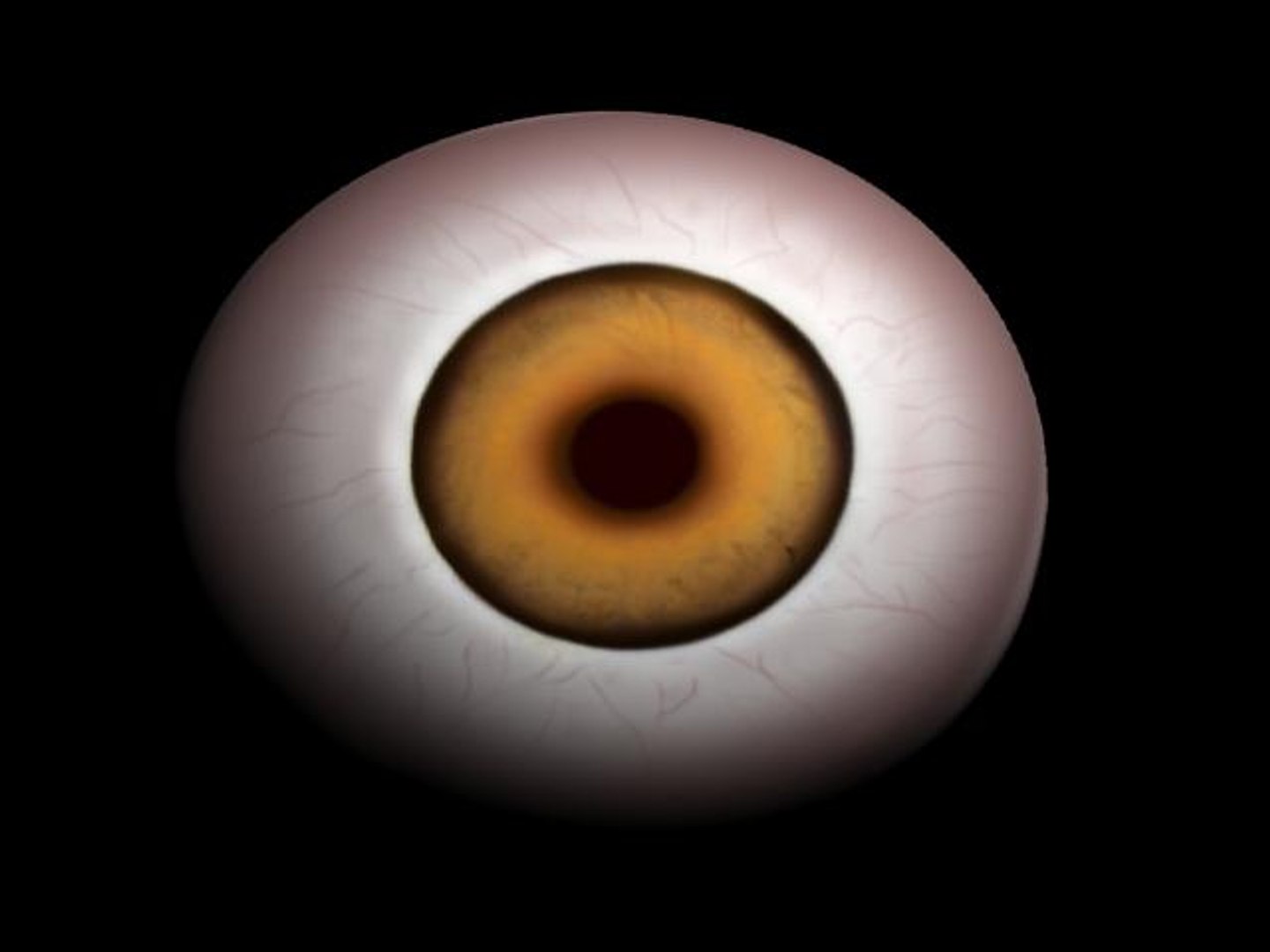 3ds max creature monster fantasy https://p.turbosquid.com/ts-thumb/1G/oYAHxV/ivn4ucvK/eye_ball/jpg/1287674728/1920x1080/fit_q87/a1c3029063780e40945e61005dcbf37497ce650c/eye_ball.jpg