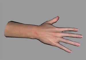 3D Viewmodel Models | TurboSquid