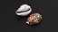 Tiger Cowrie Shell
