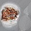 Tiger Cowrie Shell