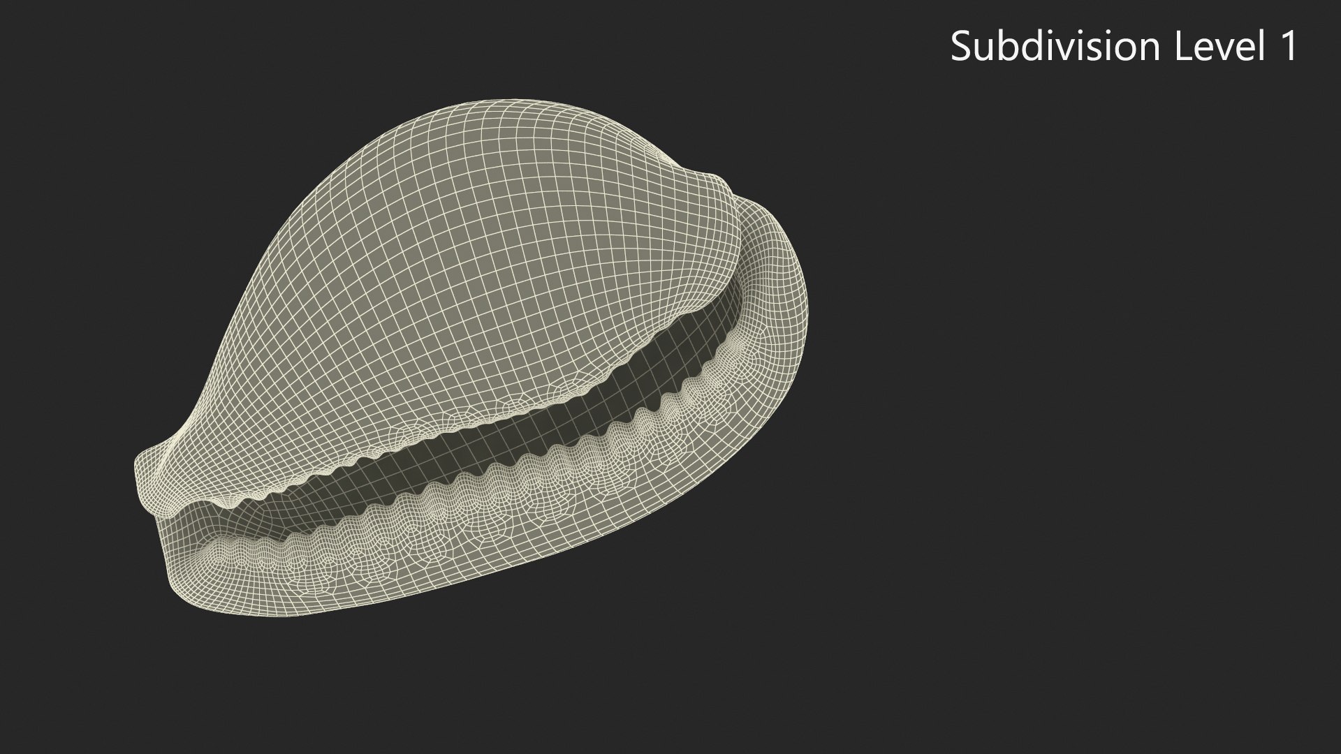 Tiger Cowrie Shell 3D https://p.turbosquid.com/ts-thumb/1G/tS8ycM/go/tigercowrieshell3dmodel012/jpg/1670375815/1920x1080/fit_q87/818466e291bf994b15b59c550428a4716a639082/tigercowrieshell3dmodel012.jpg