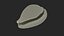 Tiger Cowrie Shell