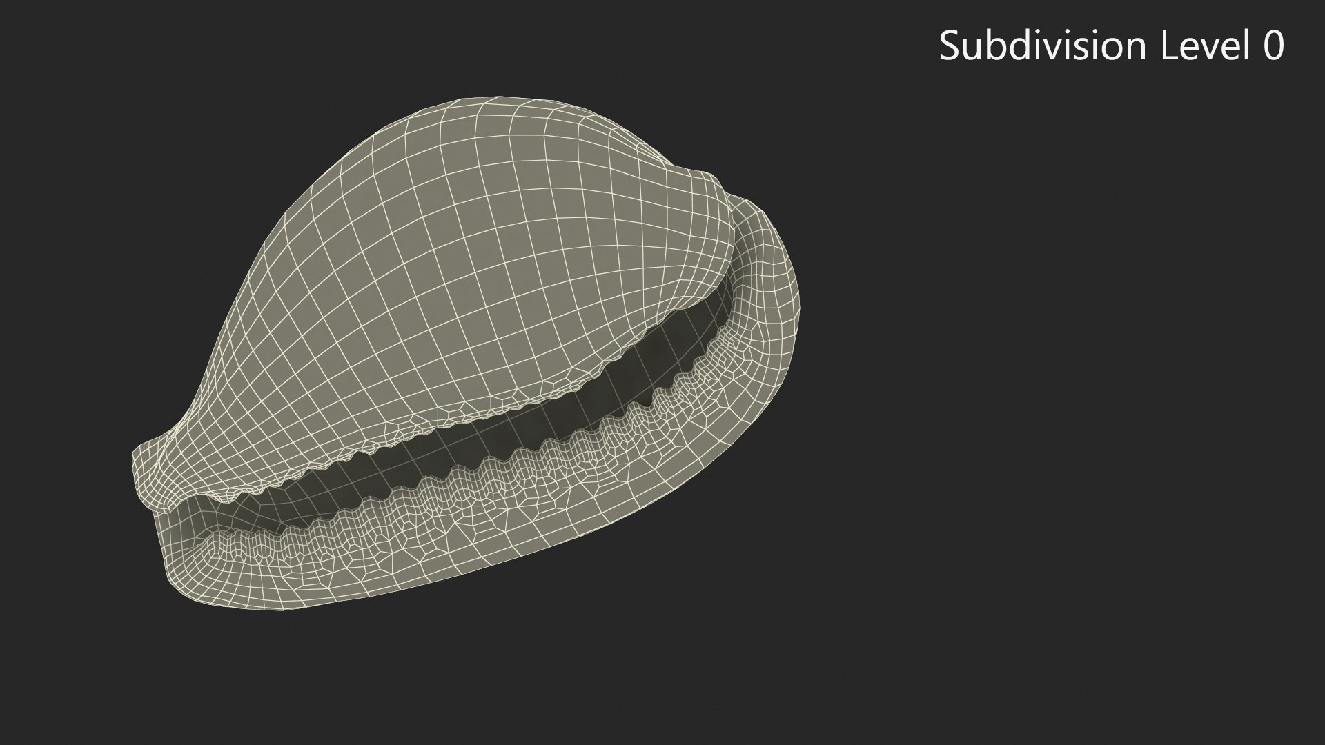 Tiger Cowrie Shell 3D https://p.turbosquid.com/ts-thumb/1G/tS8ycM/yB/tigercowrieshell3dmodel011/jpg/1670375811/1920x1080/fit_q87/507e912d45fe1633db9e6e0a80e36508efc80a4a/tigercowrieshell3dmodel011.jpg