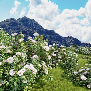 Rose bushes collection vol 121 3D model