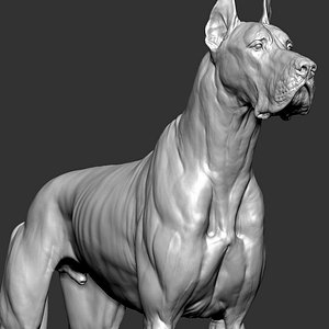 Great Dane Dog VFX Zbrush Sculpt