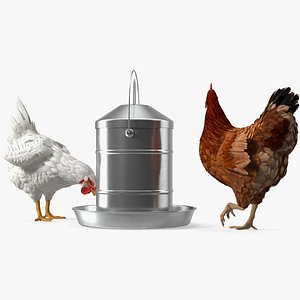 Poultry Feeder with Chickens Rigged for Modo 3D