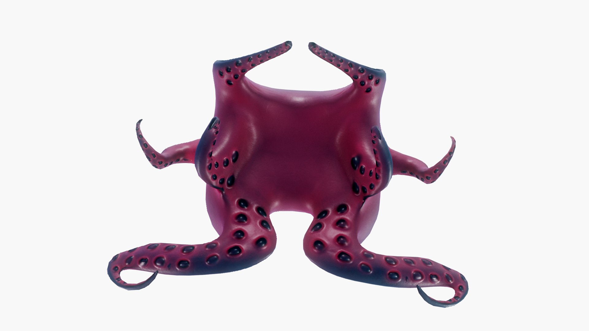 3D Octopus Model - TurboSquid 1978563