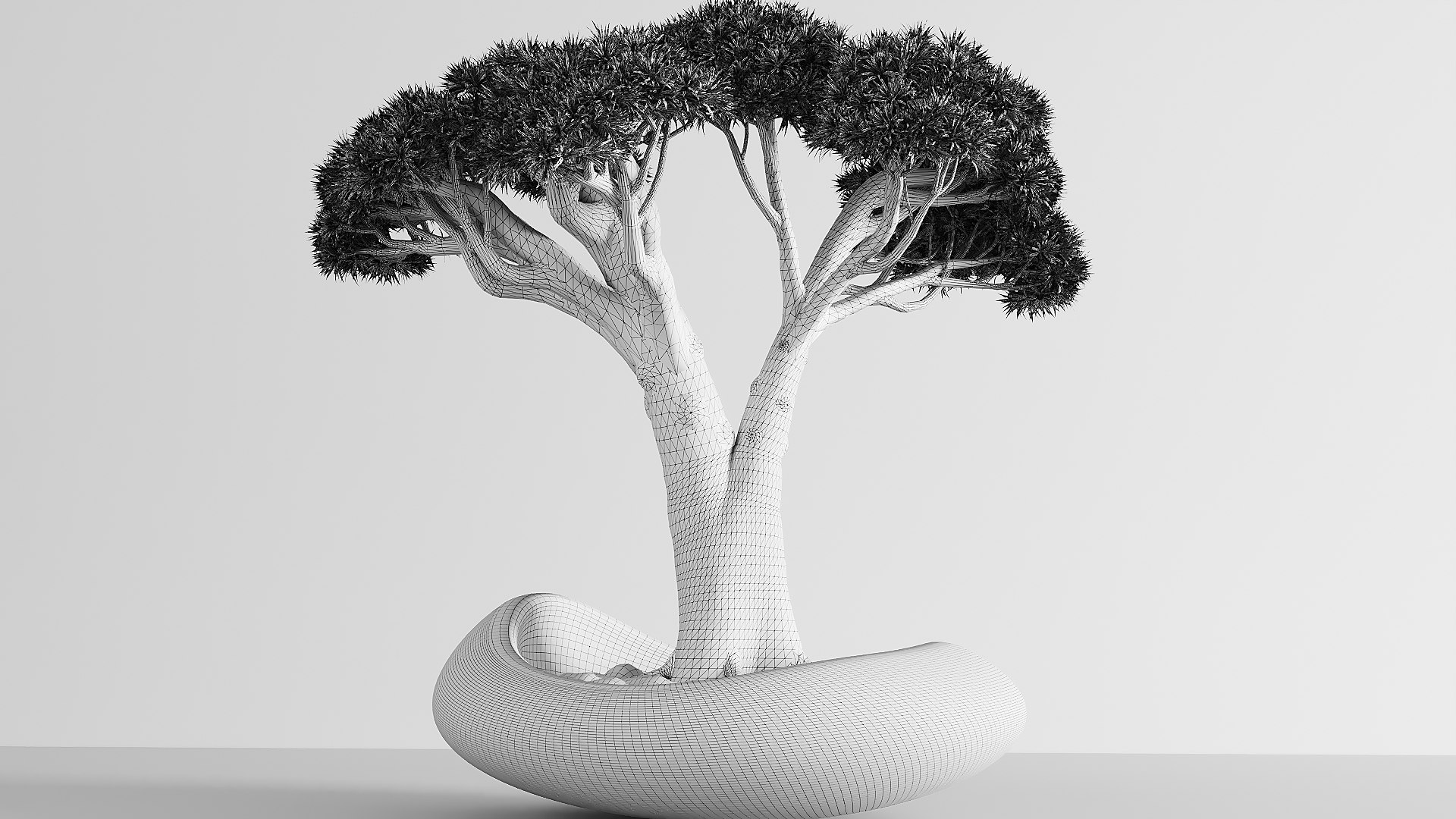 3D Bonsai Pot https://p.turbosquid.com/ts-thumb/1H/KVgBxZ/b8/l_wire/jpg/1708327569/1920x1080/fit_q87/8188e7d48a87e3014c721ad3ed3e5ff9f9ff4b52/l_wire.jpg