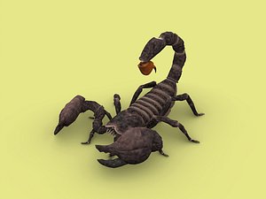 Scorpion model
