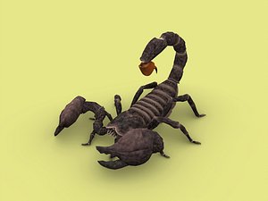 Scorpion