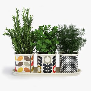max rosemary pots orla kiely