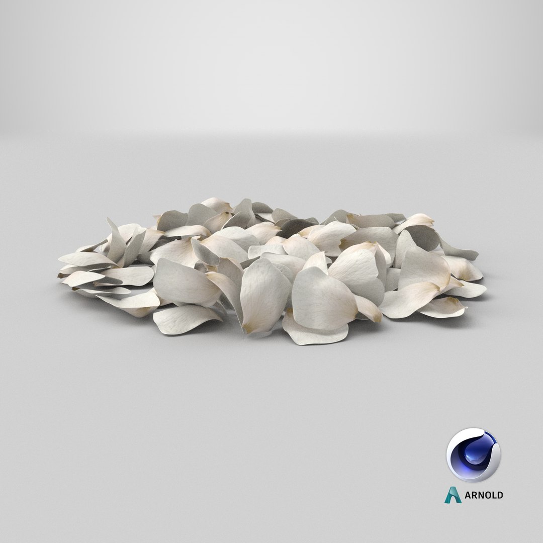 3D Jasmine Flower Petals model https://p.turbosquid.com/ts-thumb/1H/syBlKL/MO/stemcell_cinema_4d_arnold_render/png/1765822977/1920x1080/fit_q87/bad3c8f6c1ad27cec2a7682dd63ff51c3befe7e0/stemcell_cinema_4d_arnold_render.jpg