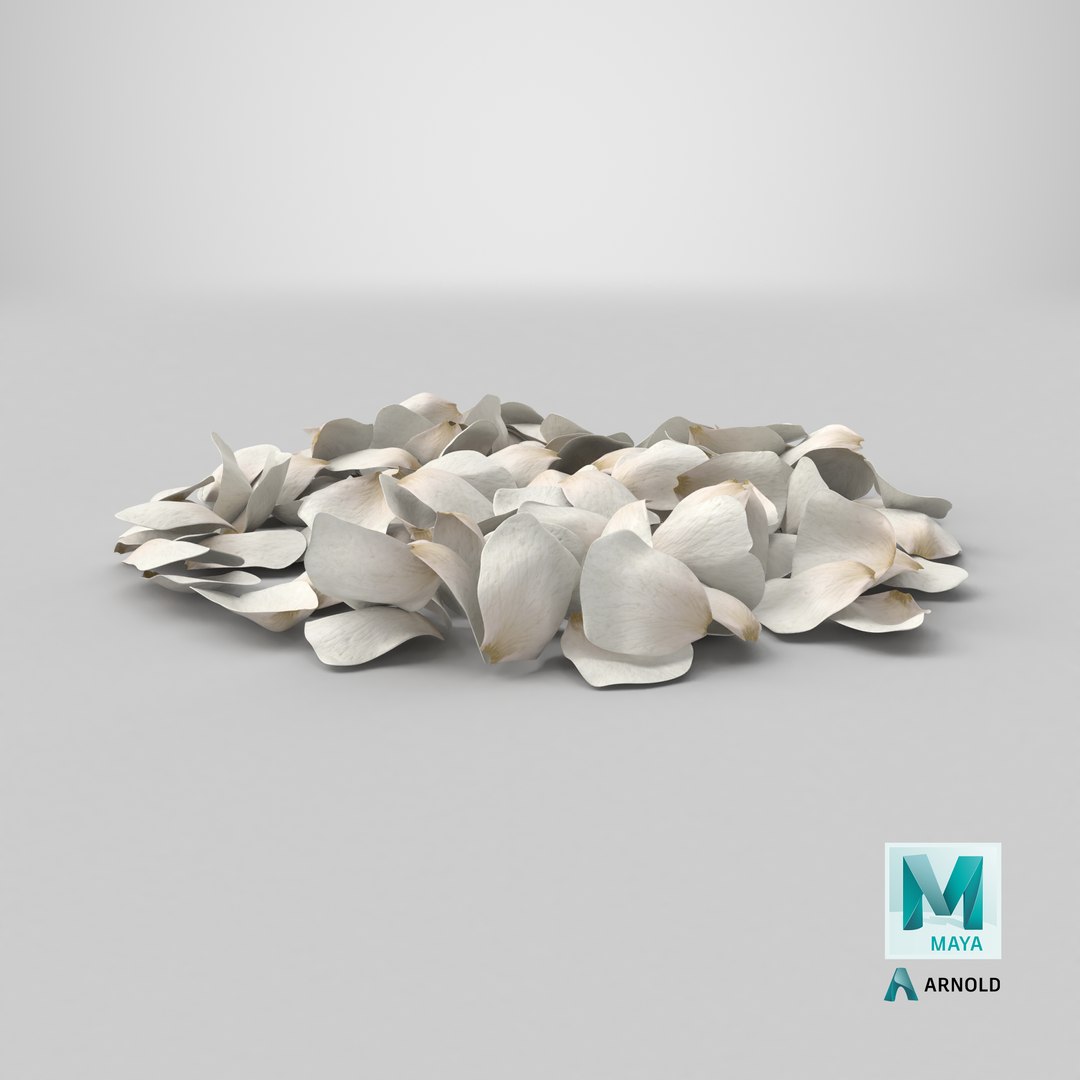 3D Jasmine Flower Petals model https://p.turbosquid.com/ts-thumb/1H/syBlKL/Qb/stemcell_maya_arnold_render/png/1765822973/1920x1080/fit_q87/045e99b034d14267e3a80253a6a454ae53d8ef92/stemcell_maya_arnold_render.jpg
