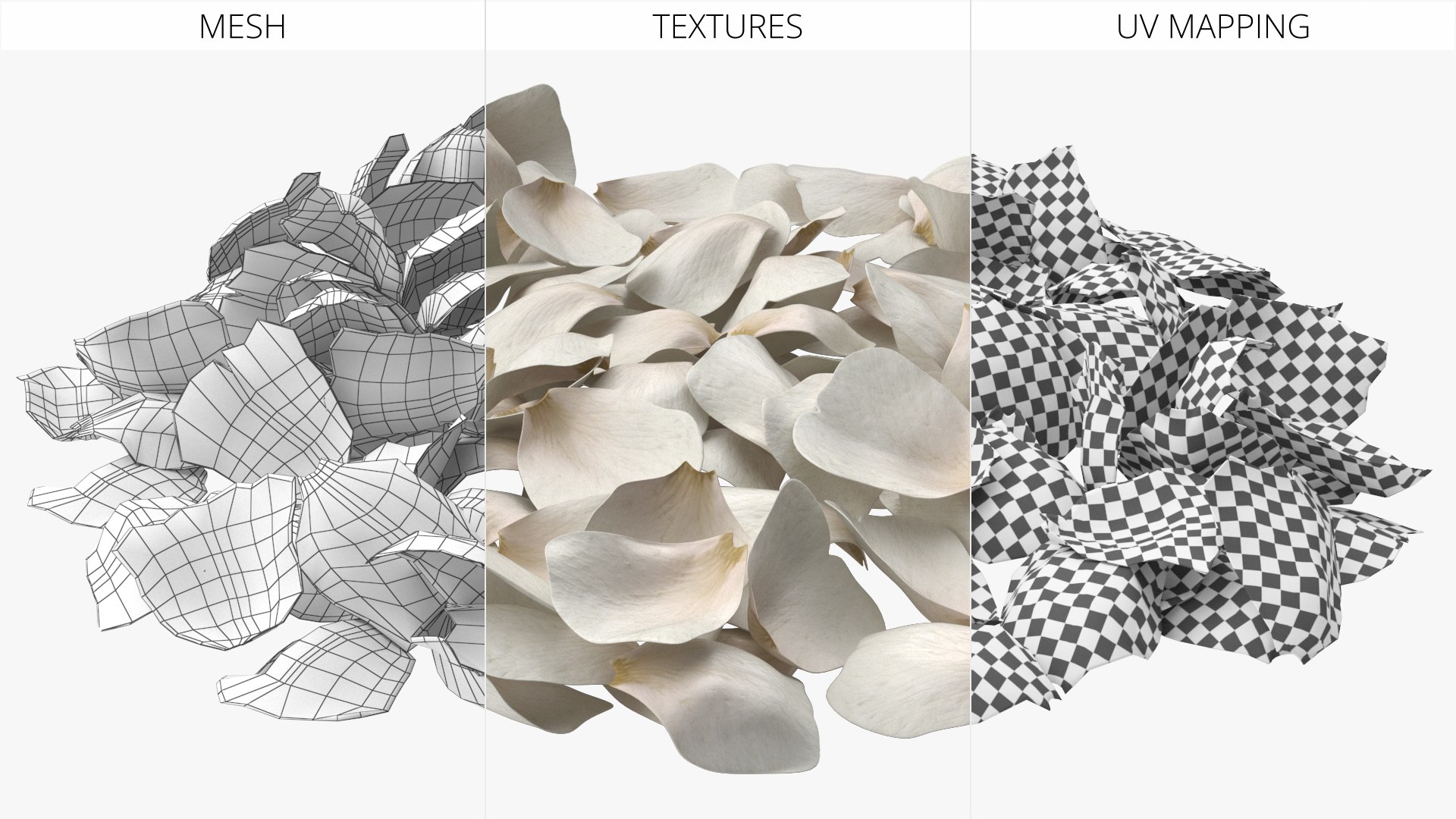 3D Jasmine Flower Petals model https://p.turbosquid.com/ts-thumb/1H/syBlKL/WG/jasmine_flower_petals_007/jpg/1765404286/1920x1080/fit_q87/c2019747797a9d4f78ca0f0b9ae93208e634d6f9/jasmine_flower_petals_007.jpg