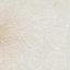 Jasmine Flower Petals