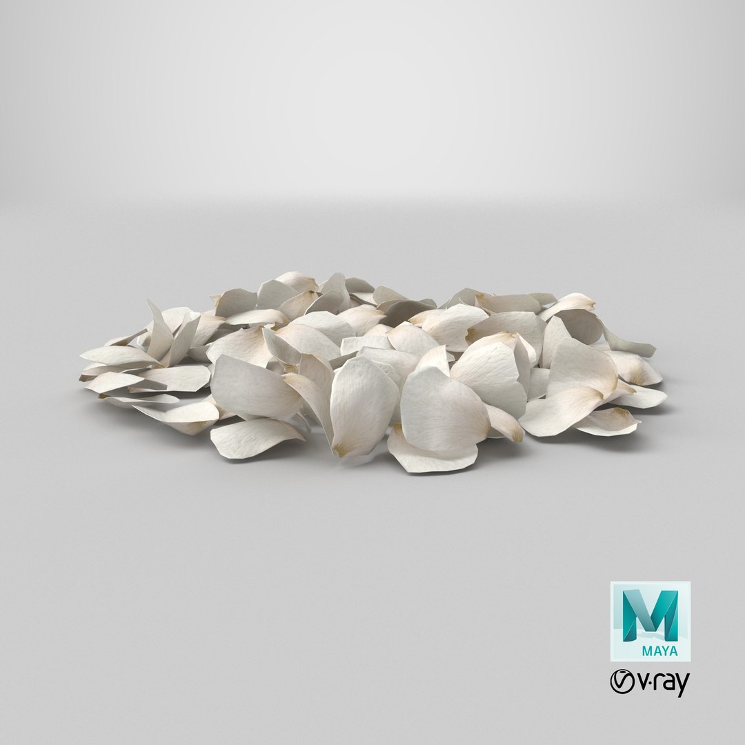 3D Jasmine Flower Petals model https://p.turbosquid.com/ts-thumb/1H/syBlKL/k3/stemcell_maya_vray_render/png/1765822975/1920x1080/fit_q87/a837965481eabe20e831a140b430c92de910c4fa/stemcell_maya_vray_render.jpg