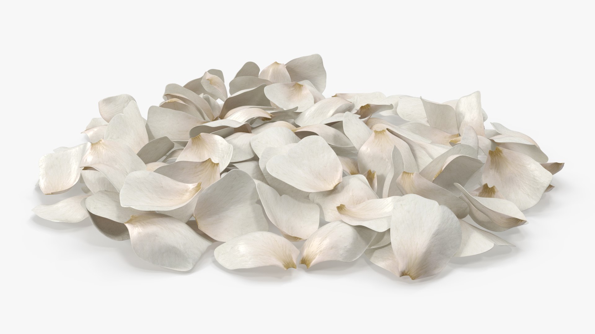 3D Jasmine Flower Petals model https://p.turbosquid.com/ts-thumb/1H/syBlKL/n0/jasmine_flower_petals_004/jpg/1765404277/1920x1080/fit_q87/e4e2cc94f14c73946a14b90c332b985a2830e176/jasmine_flower_petals_004.jpg