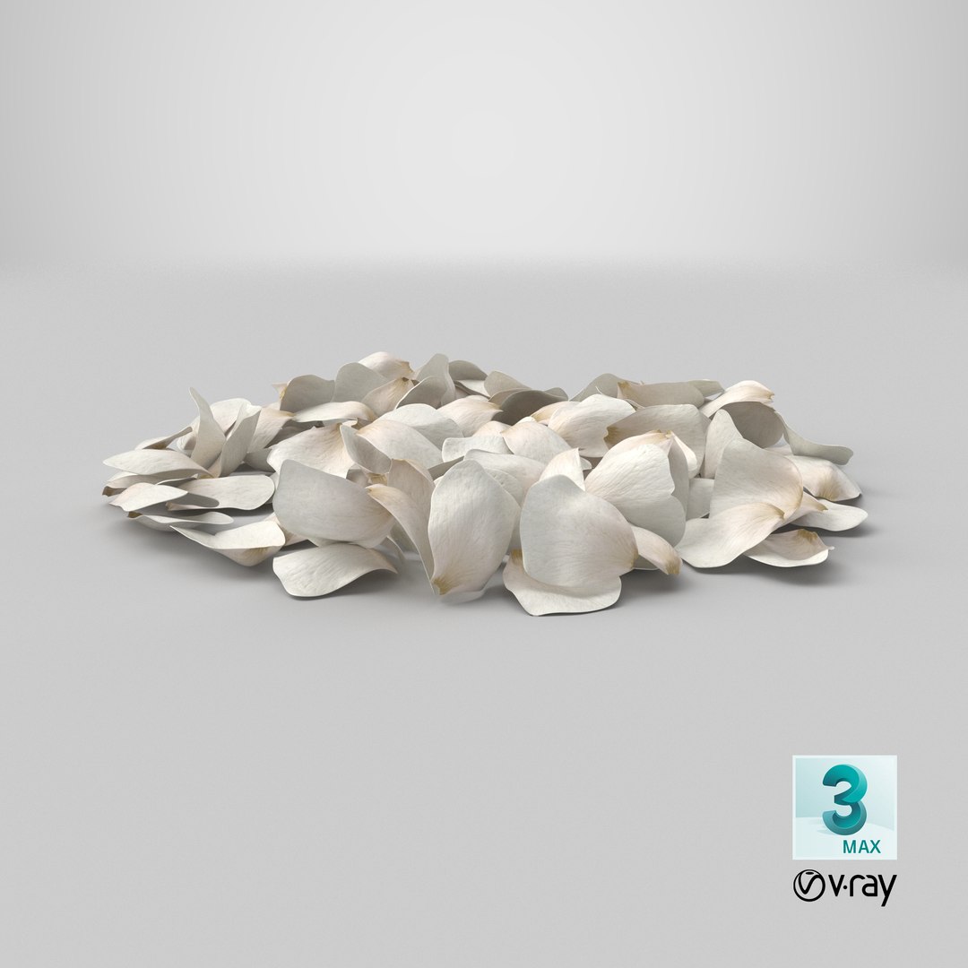 3D Jasmine Flower Petals model https://p.turbosquid.com/ts-thumb/1H/syBlKL/oD/stemcell_max_vray_render/png/1765822980/1920x1080/fit_q87/7d95278f1c862724c645c4c87cee494e87dfda43/stemcell_max_vray_render.jpg