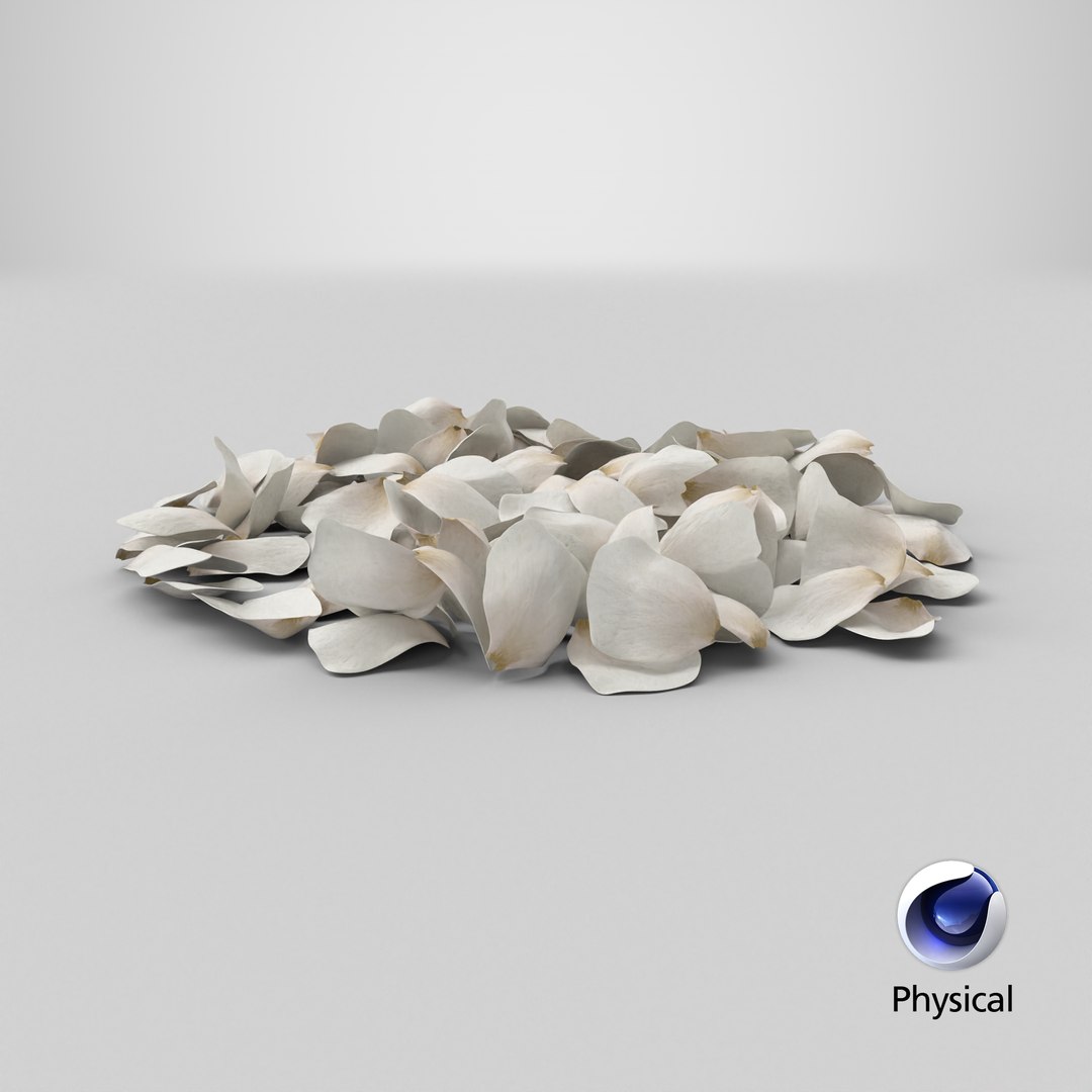 3D Jasmine Flower Petals model https://p.turbosquid.com/ts-thumb/1H/syBlKL/qh/stemcell_cinema_4d_physical_render/png/1765822978/1920x1080/fit_q87/bdd03cfd518d25ea0838e41685af9bf44ef28184/stemcell_cinema_4d_physical_render.jpg
