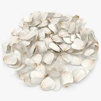 Jasmine Flower Petals