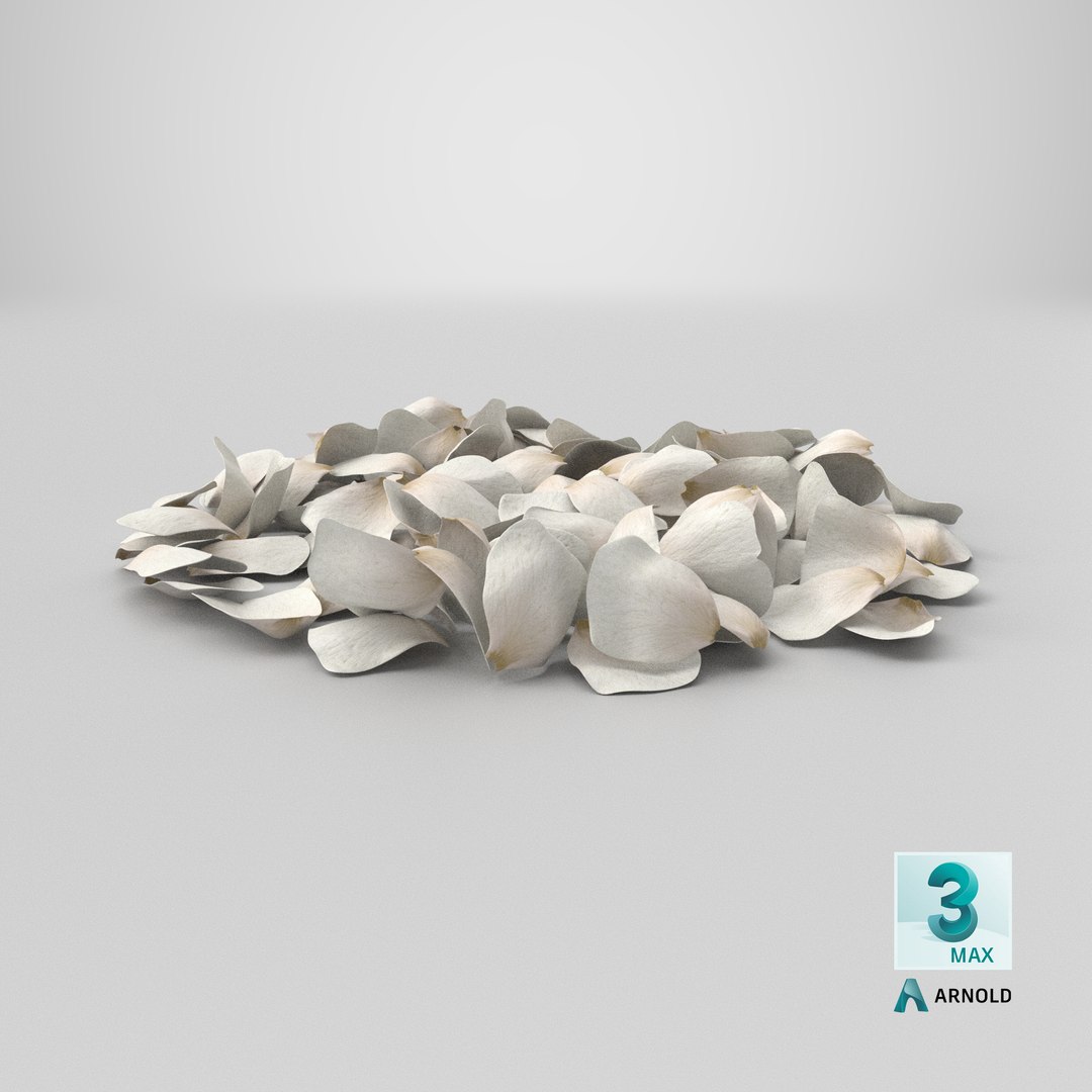 3D Jasmine Flower Petals model https://p.turbosquid.com/ts-thumb/1H/syBlKL/yz/stemcell_max_arnold_render/png/1765822981/1920x1080/fit_q87/537e2ea85e6d36fe7d269a6c72ed447ca412706a/stemcell_max_arnold_render.jpg