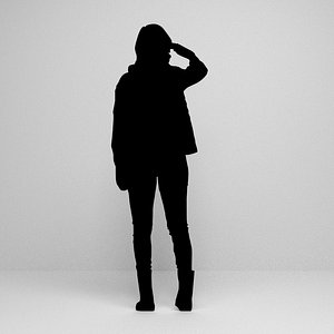 3D silhouette scenes model