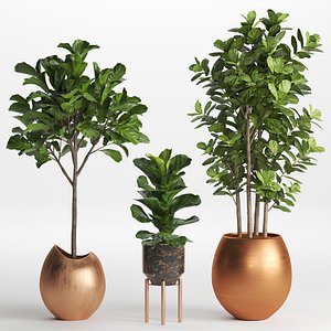 Indoor-Plant-Fiddle-Fig-Leaf-Copper-Planter-2017-Corona 3D model