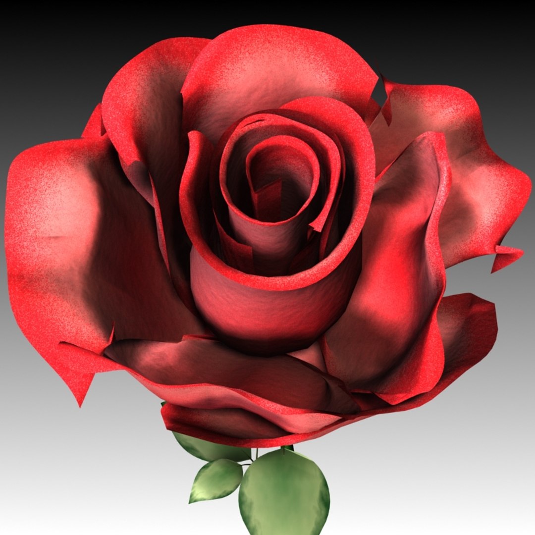 3D Rose Flower Model - TurboSquid 305916