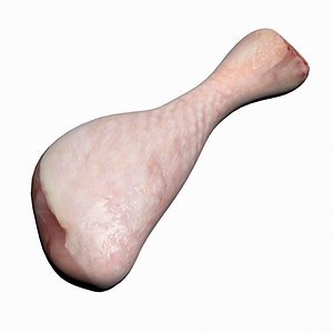 raw chicken leg max