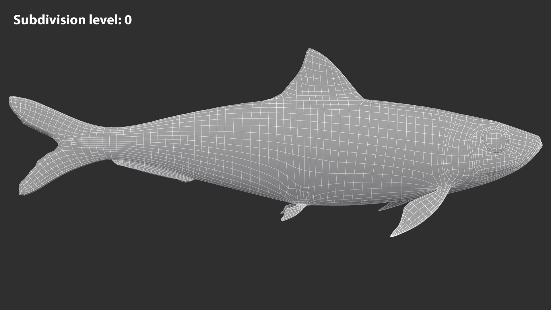 Sardine Fish 3D model https://p.turbosquid.com/ts-thumb/1I/CK6AEg/1r/sardine_image5wire_lvl0/jpg/1718046774/1920x1080/fit_q87/f6660df3bf20ef1c869037fbfbd724582cb9bd63/sardine_image5wire_lvl0.jpg