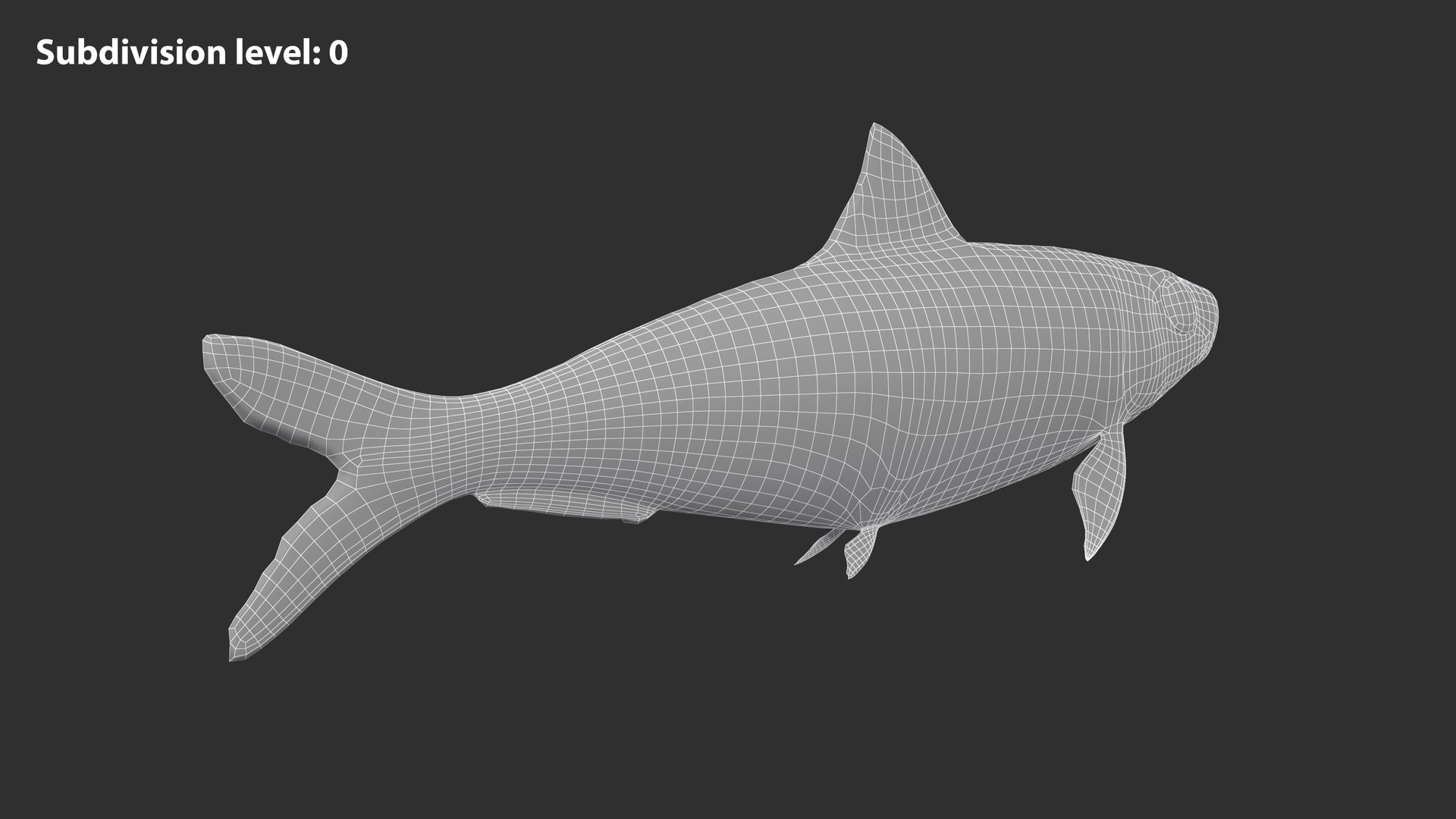 Sardine Fish 3D model https://p.turbosquid.com/ts-thumb/1I/CK6AEg/5c/sardine_image2wire_lvl0/jpg/1718046769/1920x1080/fit_q87/a0d3e521773c8db1a37dfe808cc4ad34a997a2f1/sardine_image2wire_lvl0.jpg