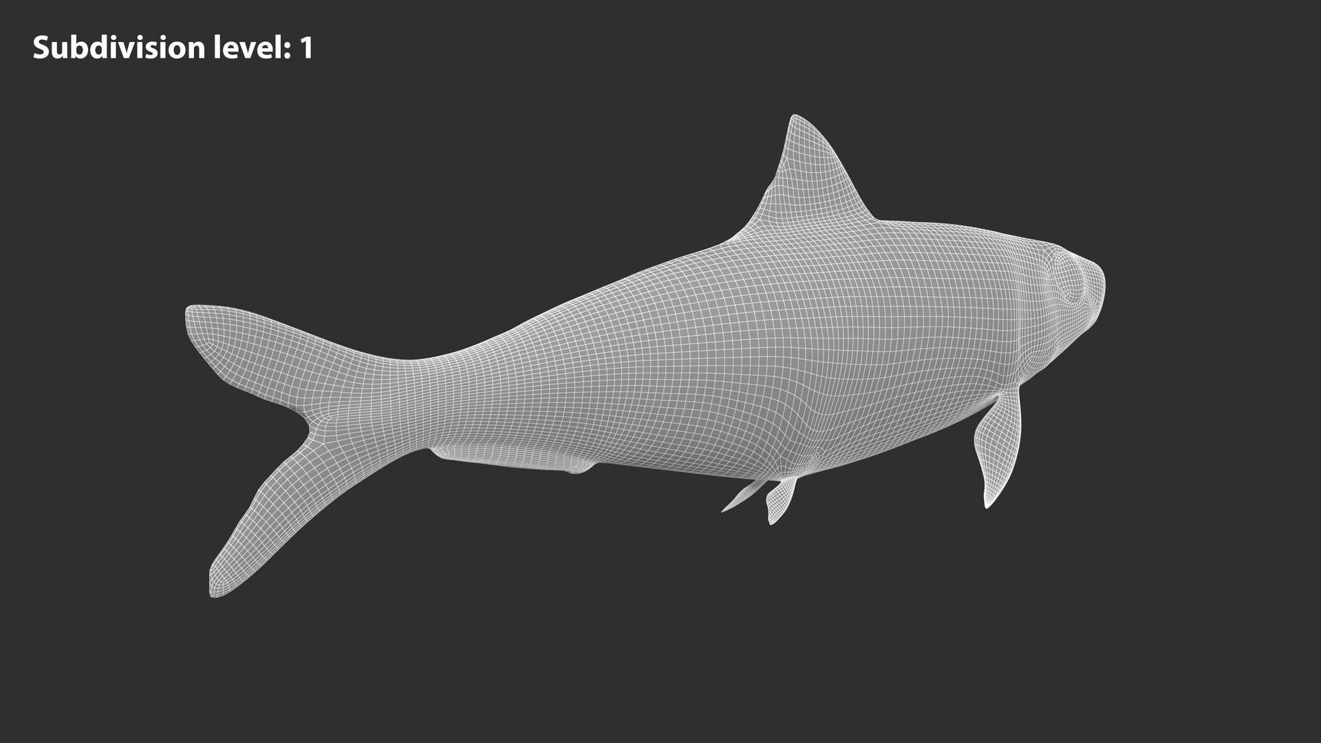 Sardine Fish 3D model https://p.turbosquid.com/ts-thumb/1I/CK6AEg/9Y/sardine_image2wire_lvl1/jpg/1718046770/1920x1080/fit_q87/0fc96bbedc5af96f84cfb142d242db912331d86c/sardine_image2wire_lvl1.jpg