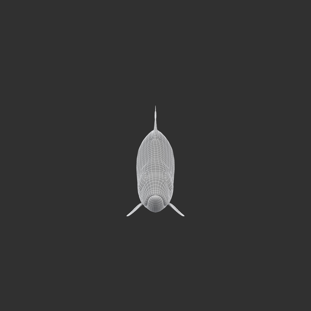 Sardine Fish 3D model https://p.turbosquid.com/ts-thumb/1I/CK6AEg/Ai/sardine_turntablewire/jpg/1718047499/1920x1080/turn_fit_q99/bd2f27c7f194a743bf85f87398046e4c24d647e6/sardine_turntablewire-1.jpg