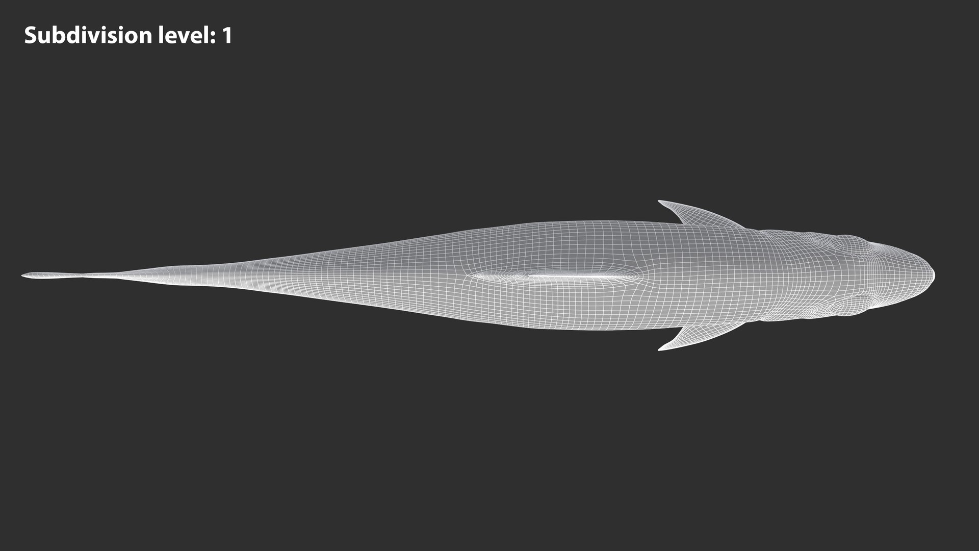 Sardine Fish 3D model https://p.turbosquid.com/ts-thumb/1I/CK6AEg/h3/sardine_image4wire_lvl1/jpg/1718046773/1920x1080/fit_q87/014b15d77e07a042f7bfa06cbb1d30a7042652de/sardine_image4wire_lvl1.jpg