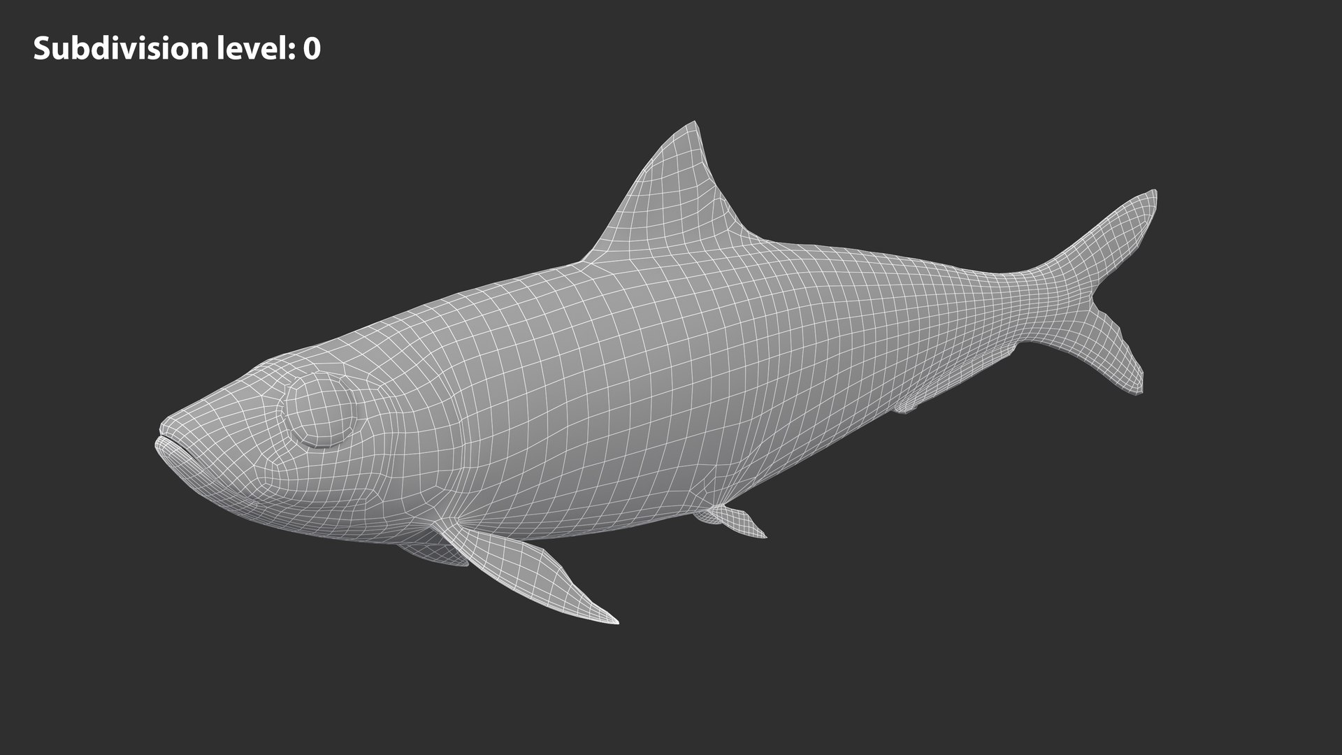 Sardine Fish 3D model https://p.turbosquid.com/ts-thumb/1I/CK6AEg/ns/sardine_image1wire_lvl0/jpg/1718046768/1920x1080/fit_q87/f587398db1ab2cbd732a43ef7ab2b87fc8d07bba/sardine_image1wire_lvl0.jpg