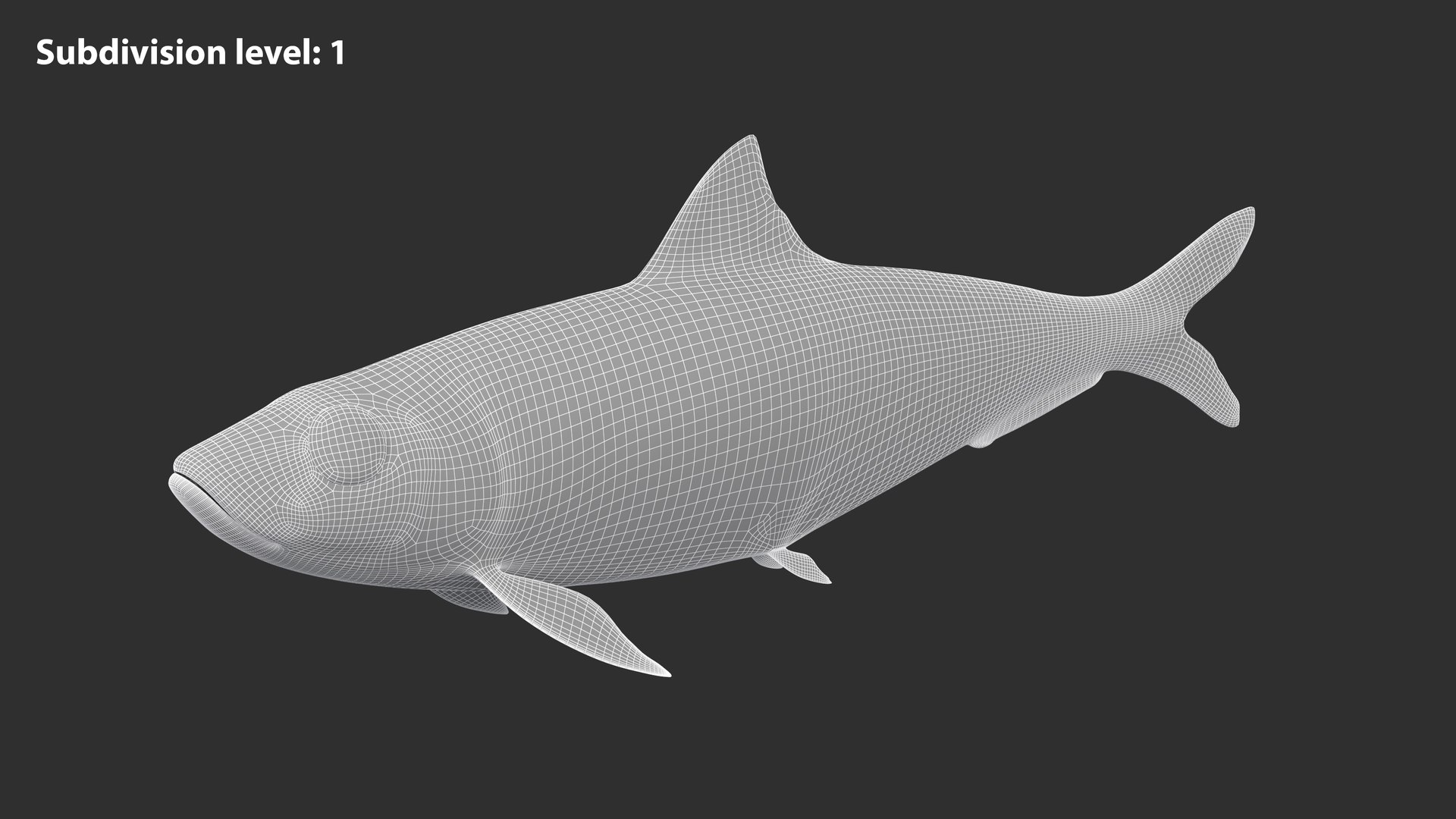 Sardine Fish 3D model https://p.turbosquid.com/ts-thumb/1I/CK6AEg/pT/sardine_image1wire_lvl1/jpg/1718046769/1920x1080/fit_q87/9512c57afe56d64f23de27e3af9fecee5e51d470/sardine_image1wire_lvl1.jpg