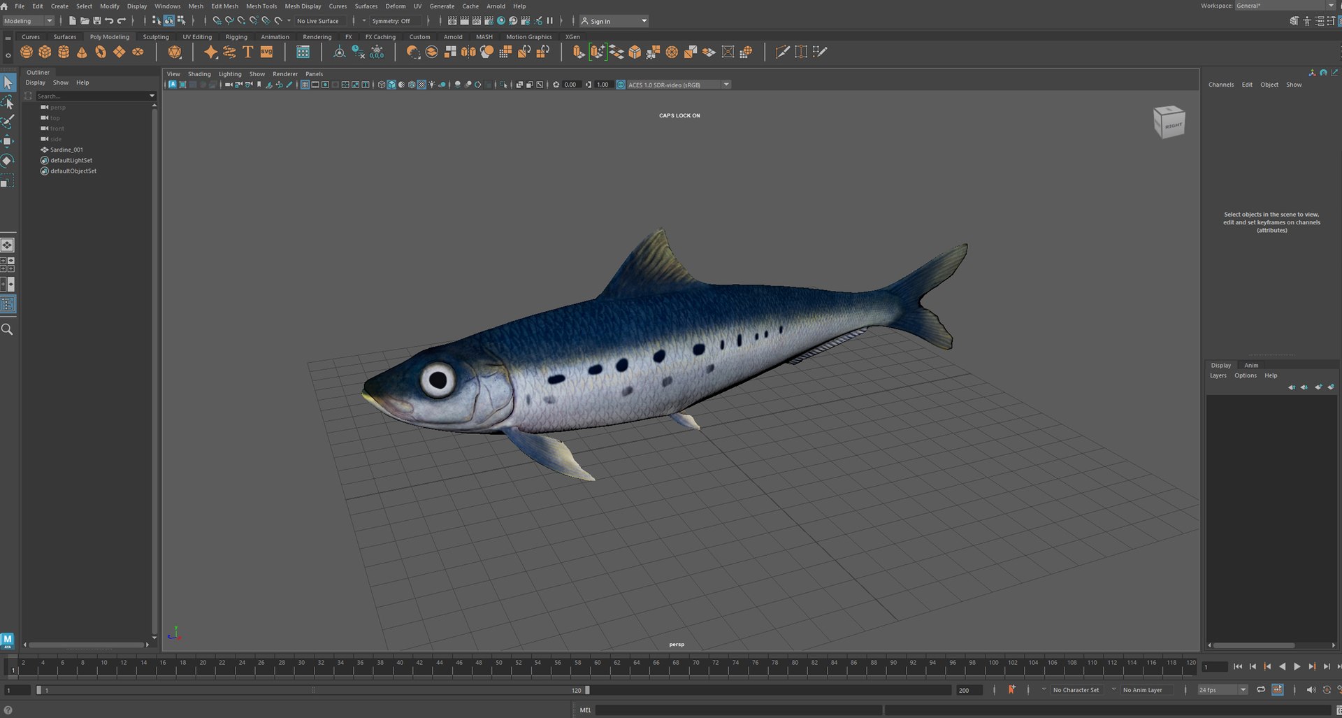 Sardine Fish 3D model https://p.turbosquid.com/ts-thumb/1I/CK6AEg/vZ/sardine_maya/jpg/1718046776/1920x1080/fit_q87/db6e85071b4bbebea629a0c63e3437ded4d0520e/sardine_maya.jpg