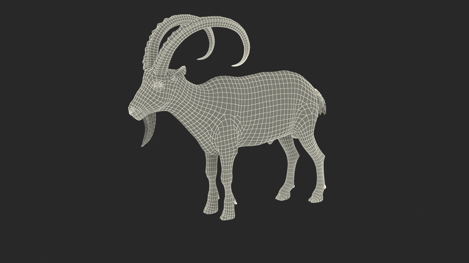 3D Model Alpine Ibex Stand Pose - TurboSquid 2225811