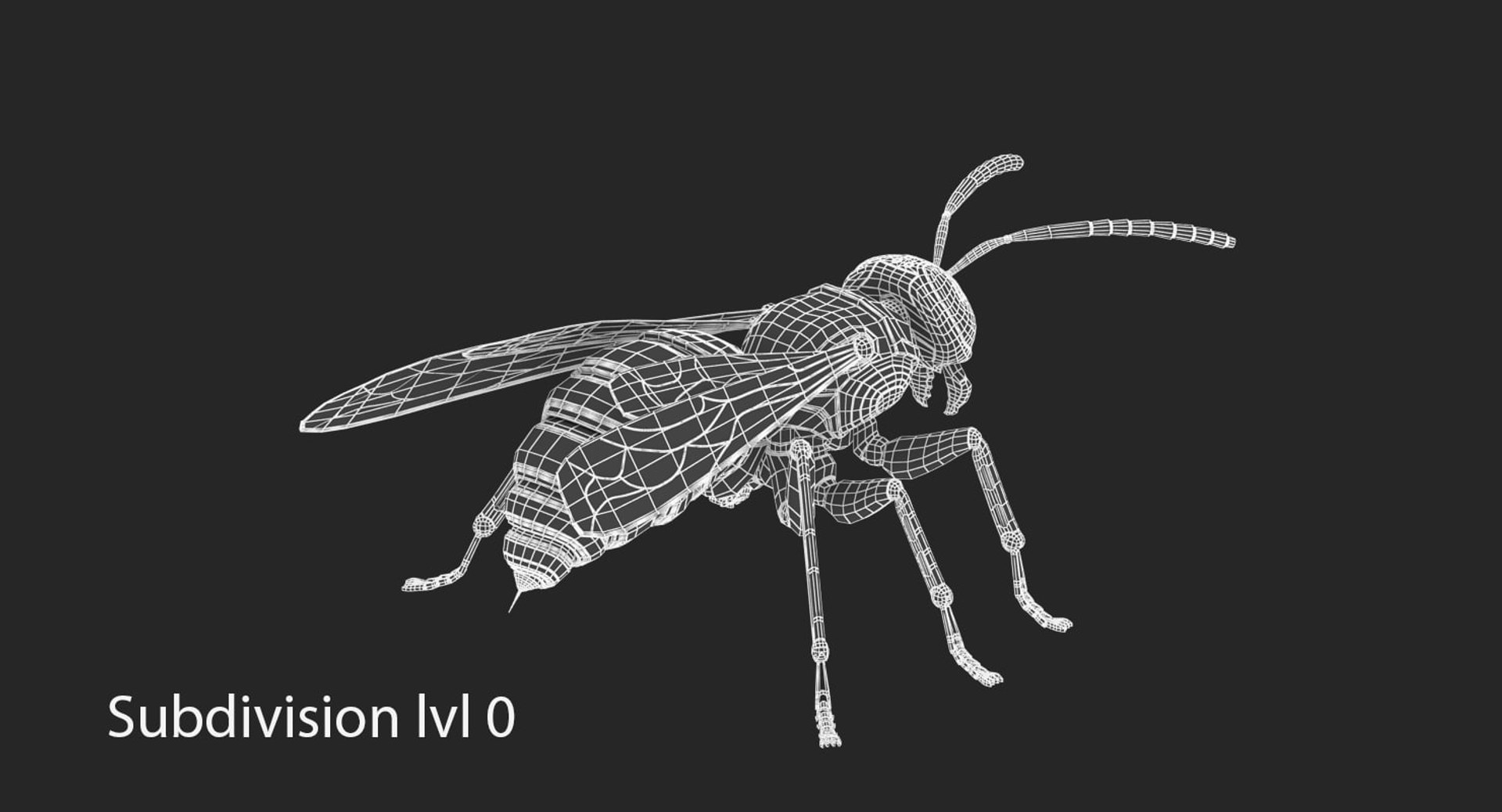 3D mechanical wasp model https://p.turbosquid.com/ts-thumb/1I/MfiEjq/eRAldrLB/1_0/jpg/1556740128/1920x1080/fit_q87/c4139d52e5a319ab77d1e1b0f65b380dd79c8f88/1_0.jpg