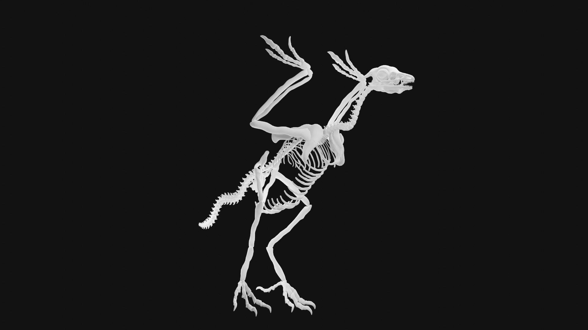 Archaeopteryx Skeleton 3D Model - TurboSquid 1992707