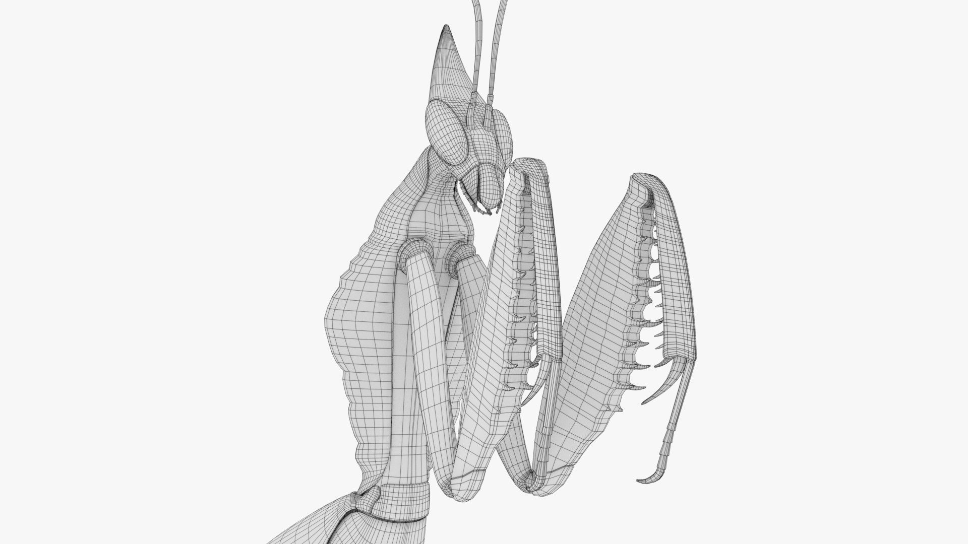 Praying Mantis White 3D model https://p.turbosquid.com/ts-thumb/1I/YcoWqa/BW/b/png/1751911086/1920x1080/fit_q87/84dc012d1f75f7f8c423f36b1645e0cbc300ea72/b.jpg