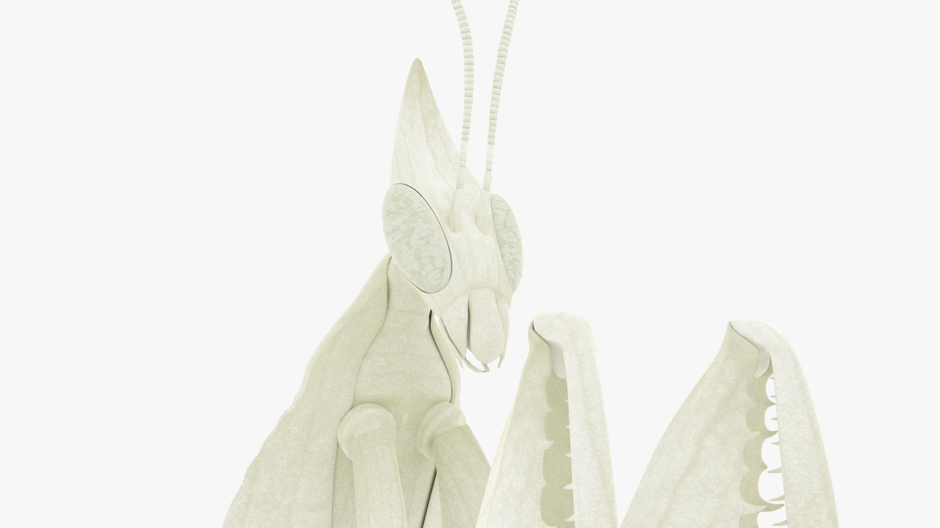 Praying Mantis White 3D model https://p.turbosquid.com/ts-thumb/1I/YcoWqa/CD/0017/png/1751910766/1920x1080/fit_q87/d47b428442eb3c59aec96354e4202ac38a7b0833/0017.jpg
